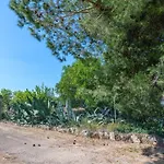 Trullo Giovanni Σπίτι διακοπών Ceglie Messapica